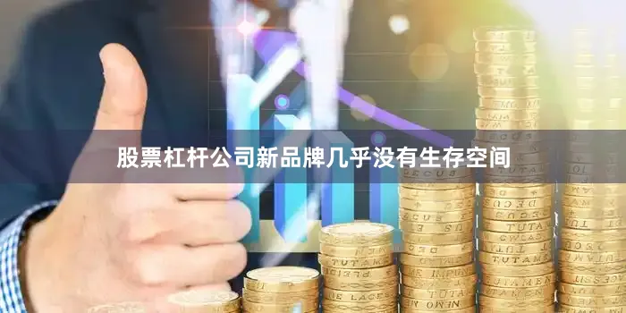 股票杠杆公司新品牌几乎没有生存空间