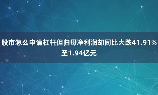 股市怎么申请杠杆但归母净利润却同比大跌41.91%至1.94亿元